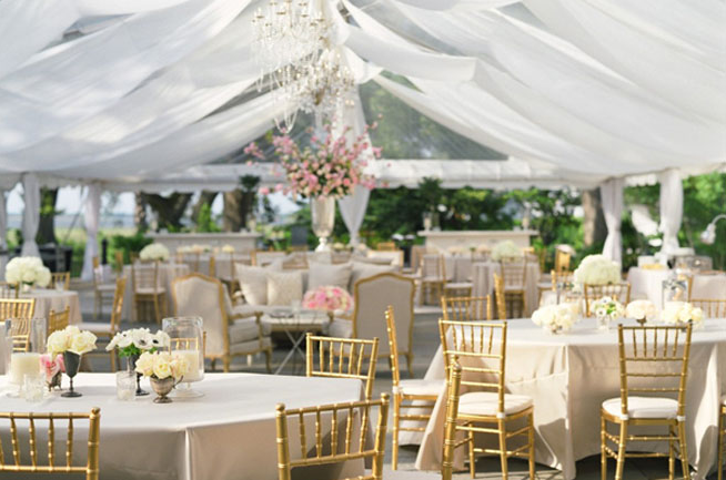 Wedding tent rentals