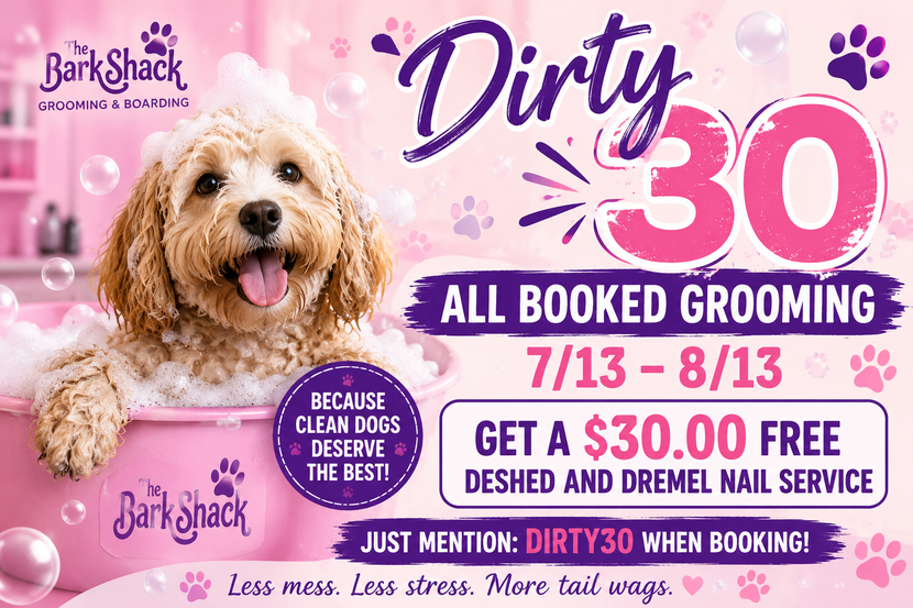 Dirty 30 All Booked Grooming