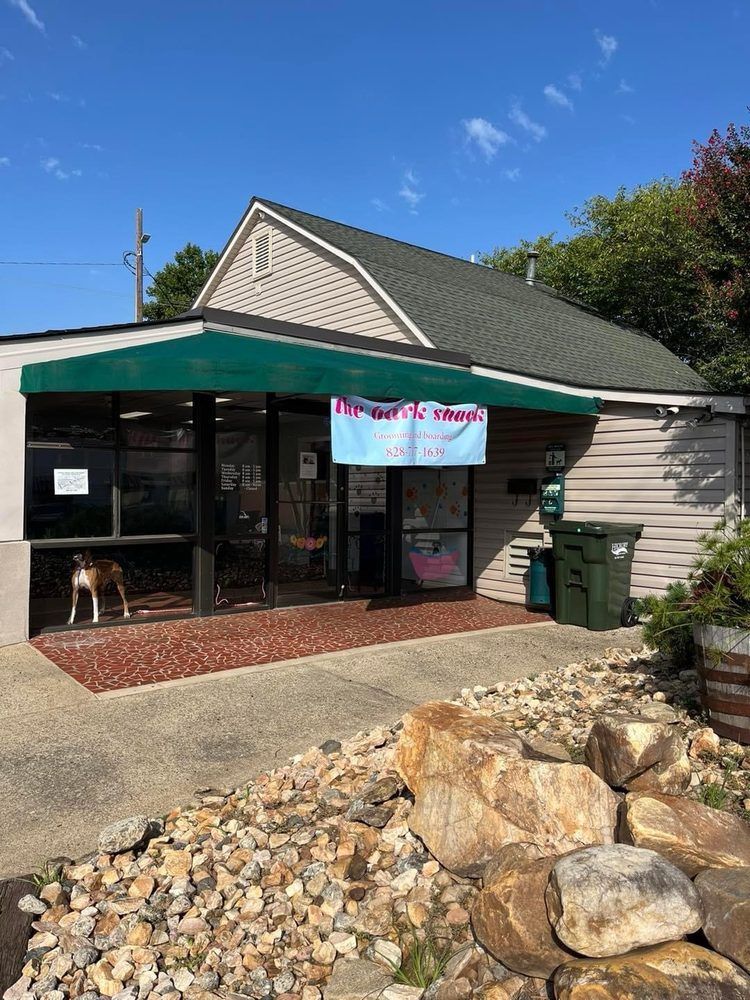A dog is standing in front of a building with a green awning.