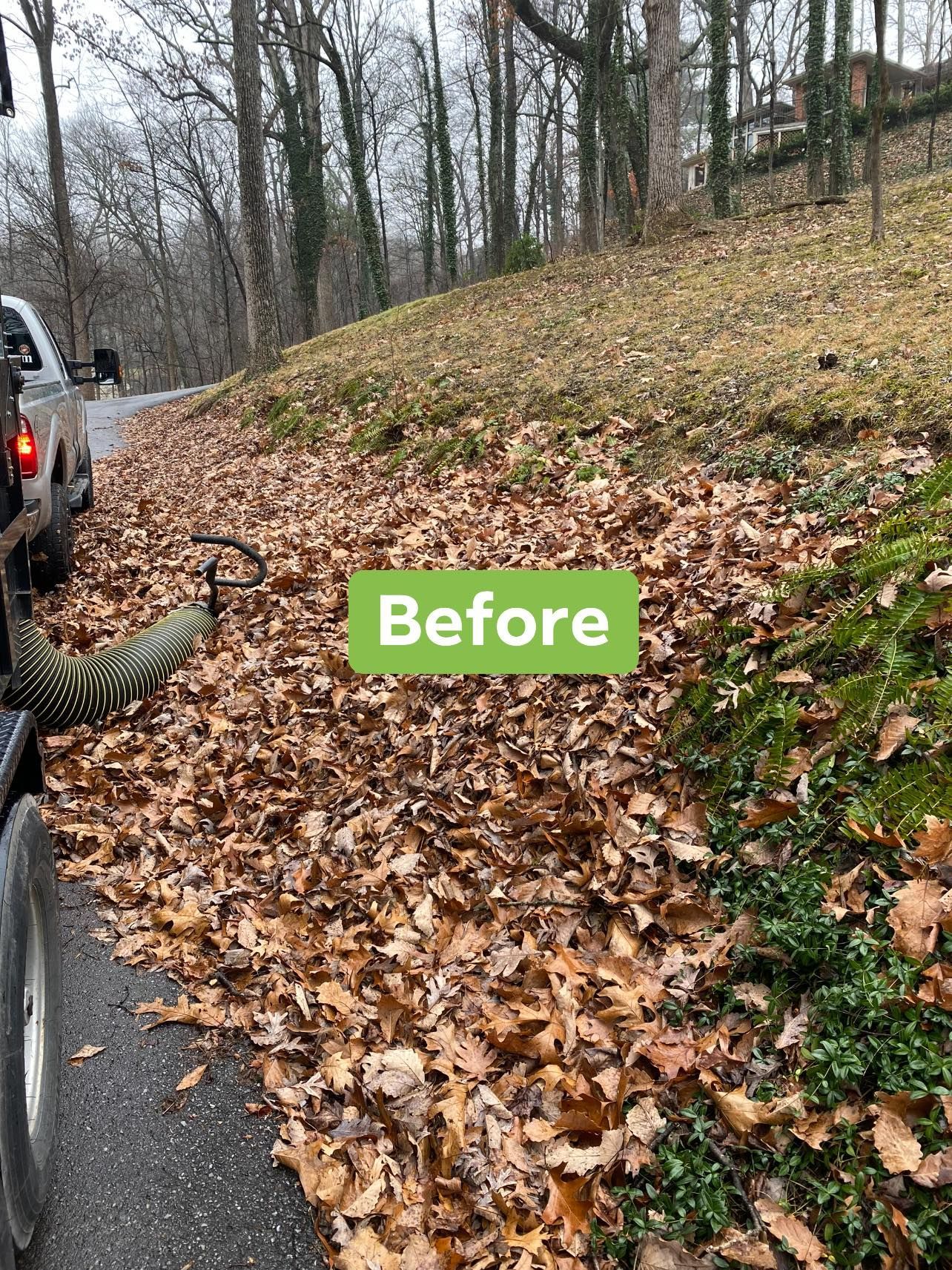 leaf-removal-services-roanoke-va