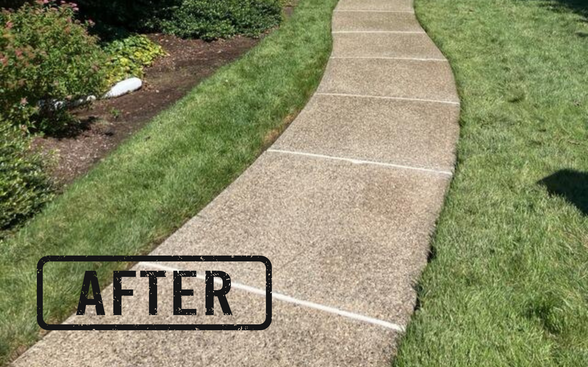 Curved concrete walkway bordered by green lawn and shrubs