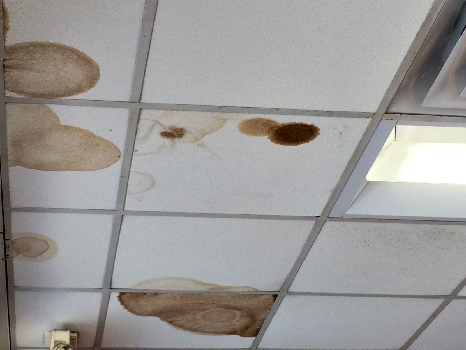 Stained, water-damaged white drop ceiling tiles in an office setting.
