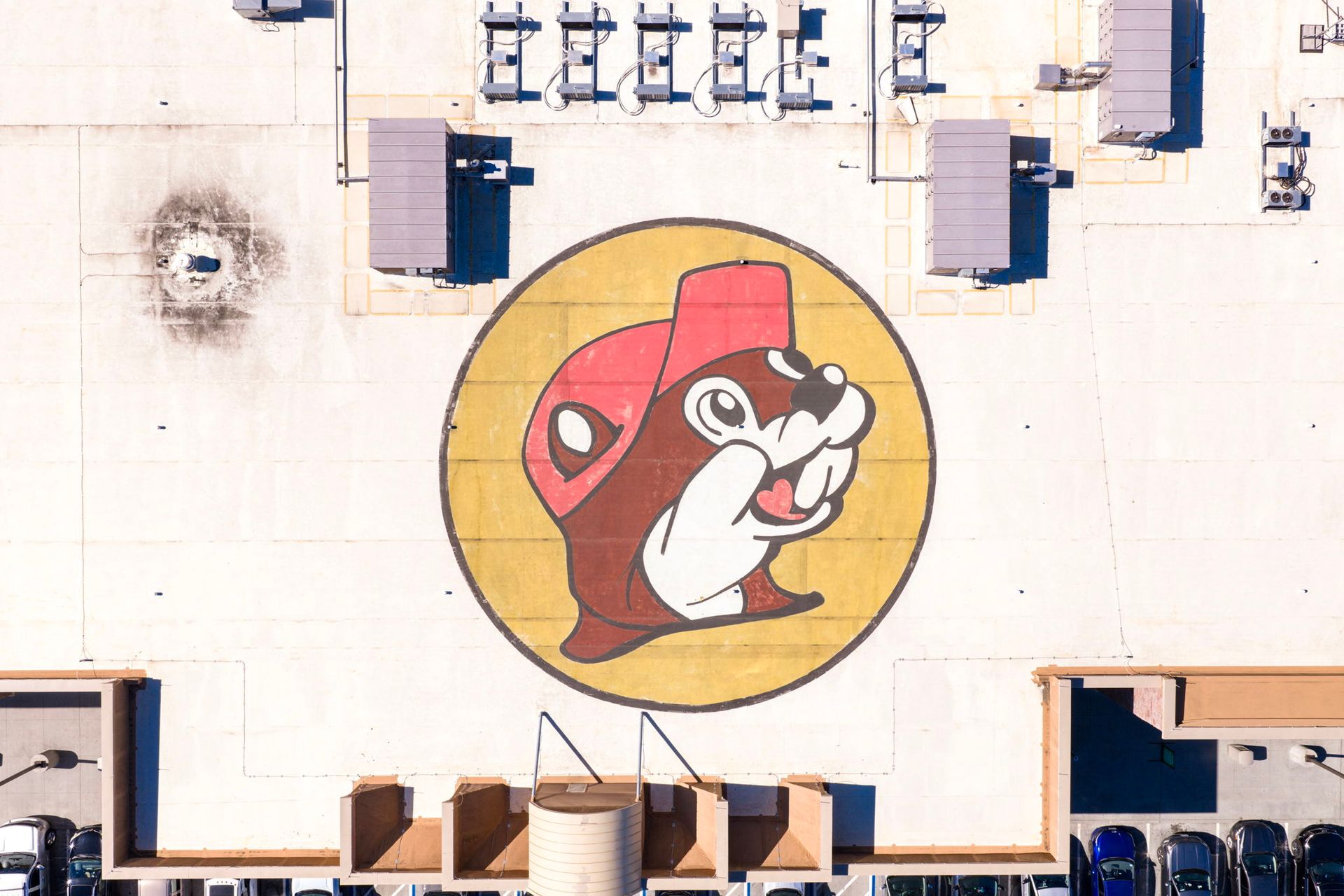 Large red husky mascot logo painted on a white gym floor, surrounded by basketball court equipment and bleachers