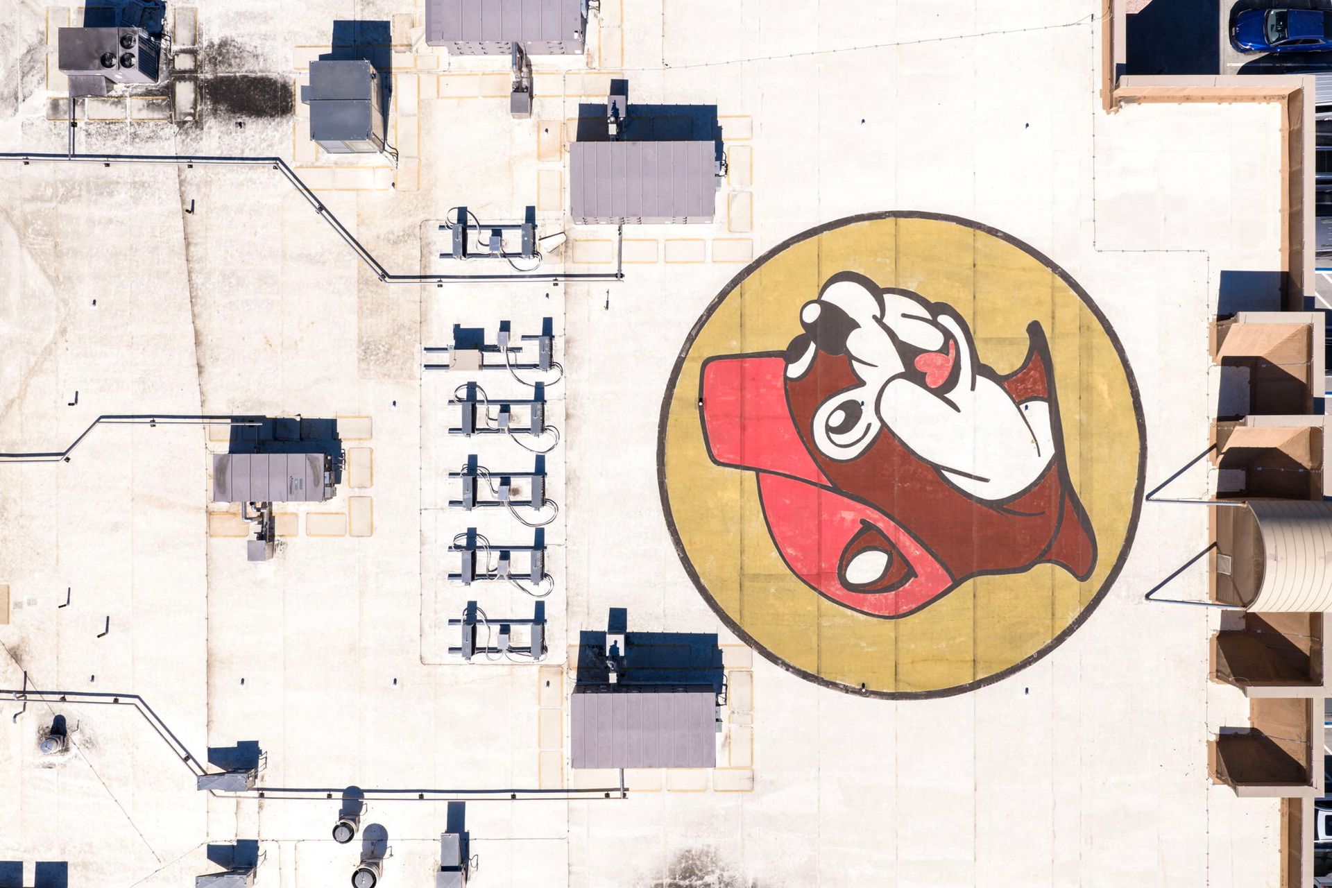 Aerial view of a rooftop with a large red-and-white bulldog mural in a yellow circle.