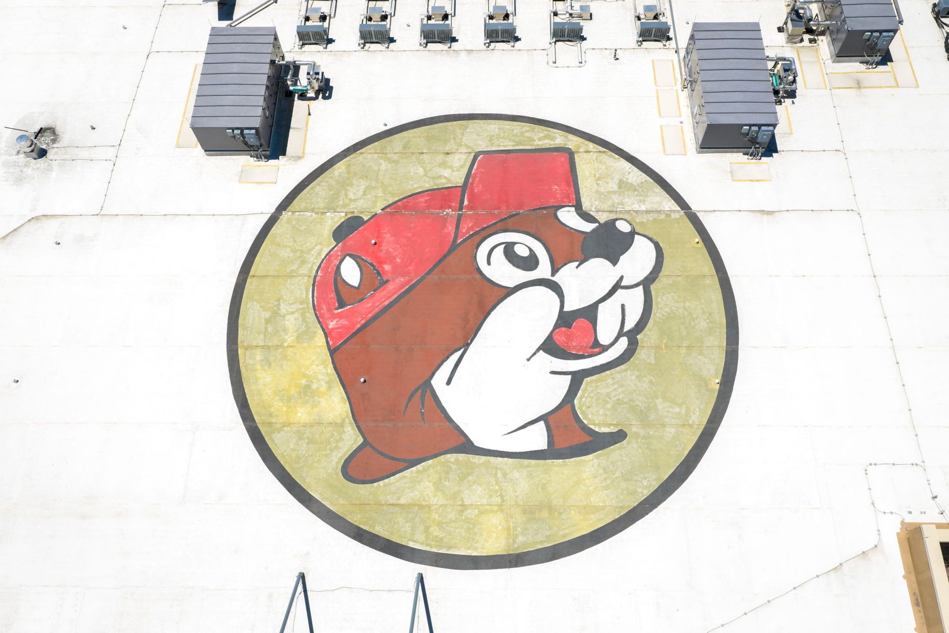 Red and white bulldog mascot logo painted in a yellow circle on a pavement courtyard.