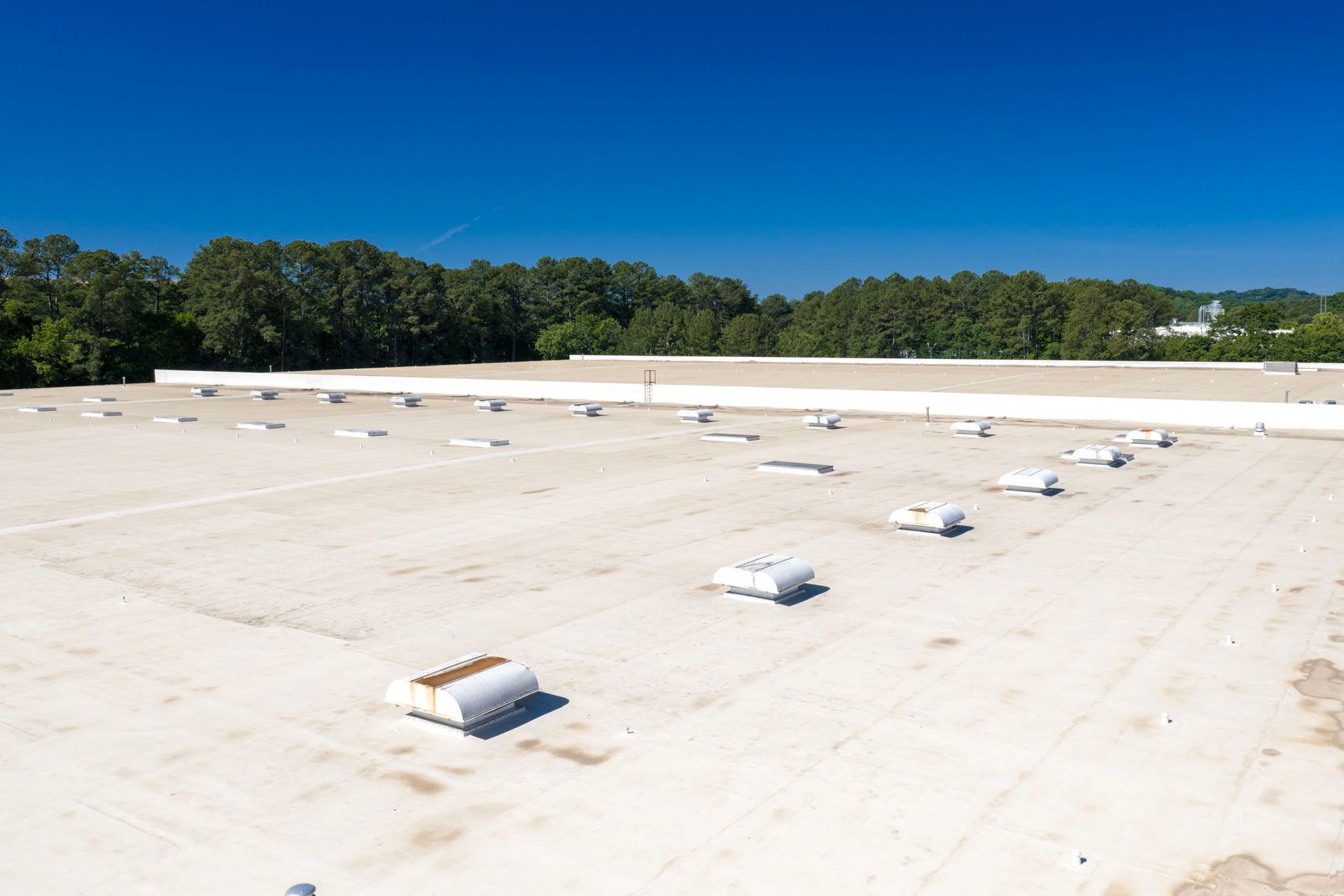 Wide flat white rooftop with small vents under a clear blue sky, trees in the background