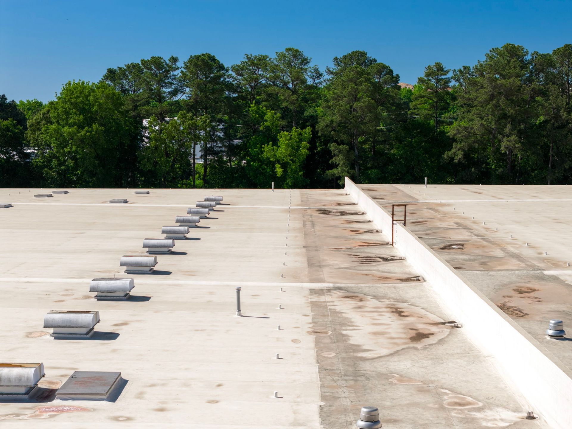 Flat white rooftop with skylights and vents, bordered by green trees under a clear blue sky