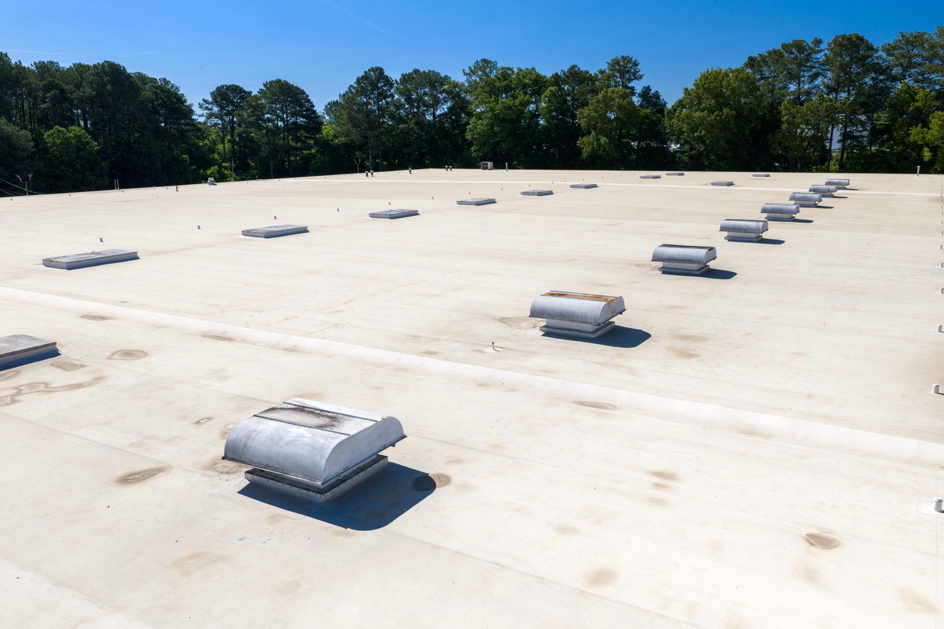 Flat white rooftop with multiple skylight vents under a clear blue sky, trees in the background