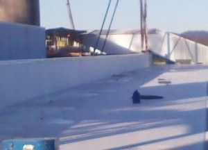 A blue hammer lying on a flat, white rooftop in an industrial setting with a construction crane in the background.
