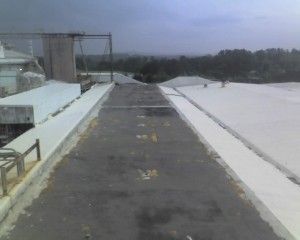 A high-angle view of a flat, dark roof path bordered by white roofing material, leading toward a distant wooded horizon.