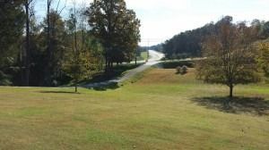 A grassy field slopes down toward a paved road winding through trees under a bright sky.