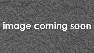 Gray textured placeholder with the text “image coming soon”