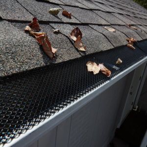 A close up of a gutter with leaves on the roof.