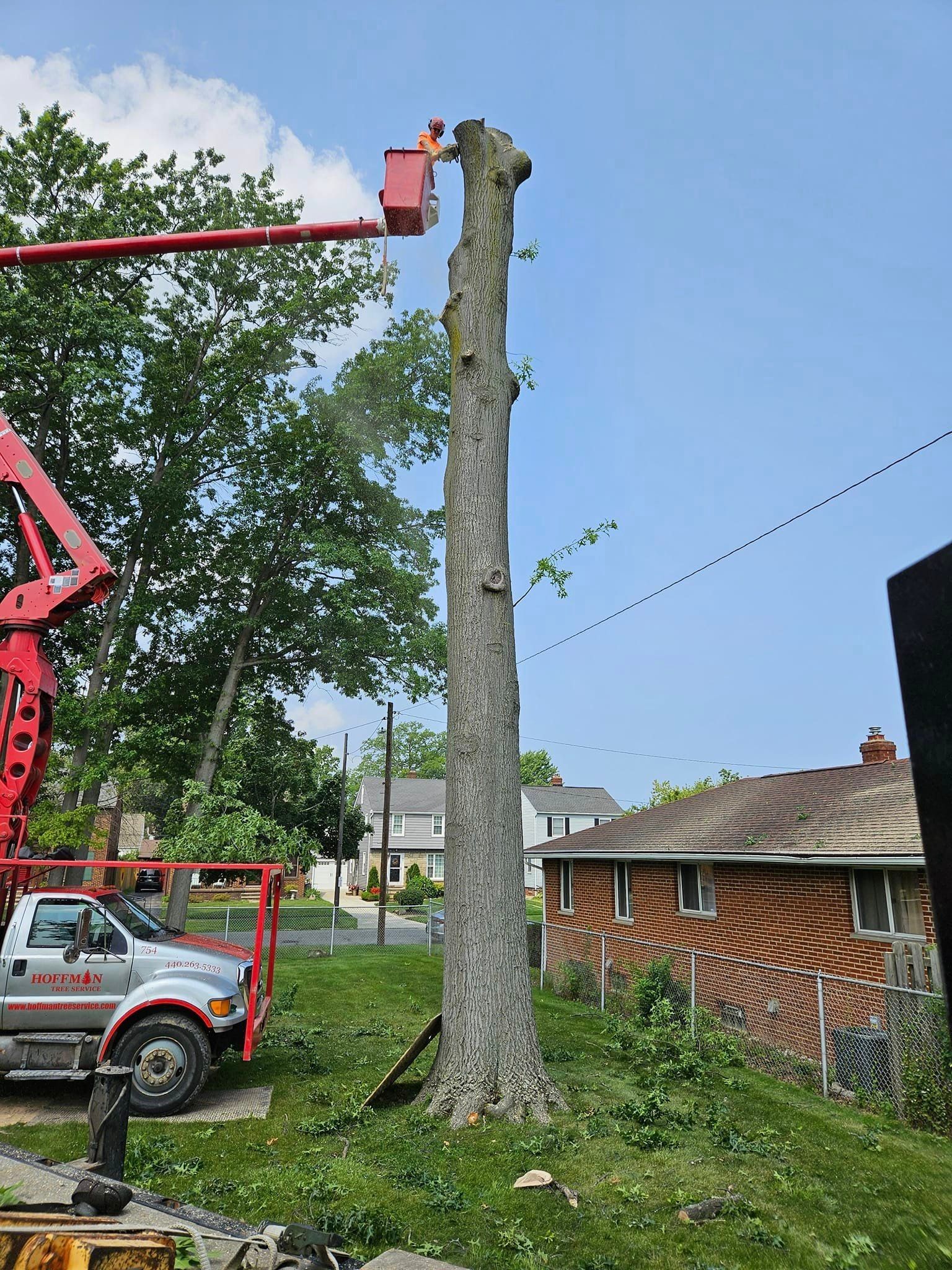 A man is cutting a tree with a crane in front of a house