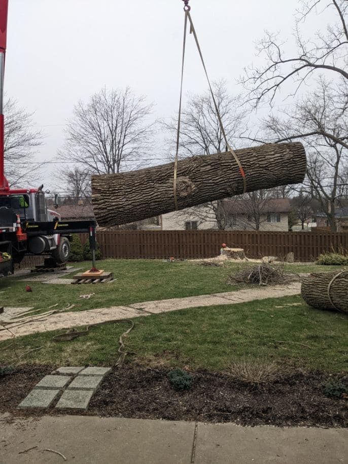A large log is being lifted by a crane in a backyard.