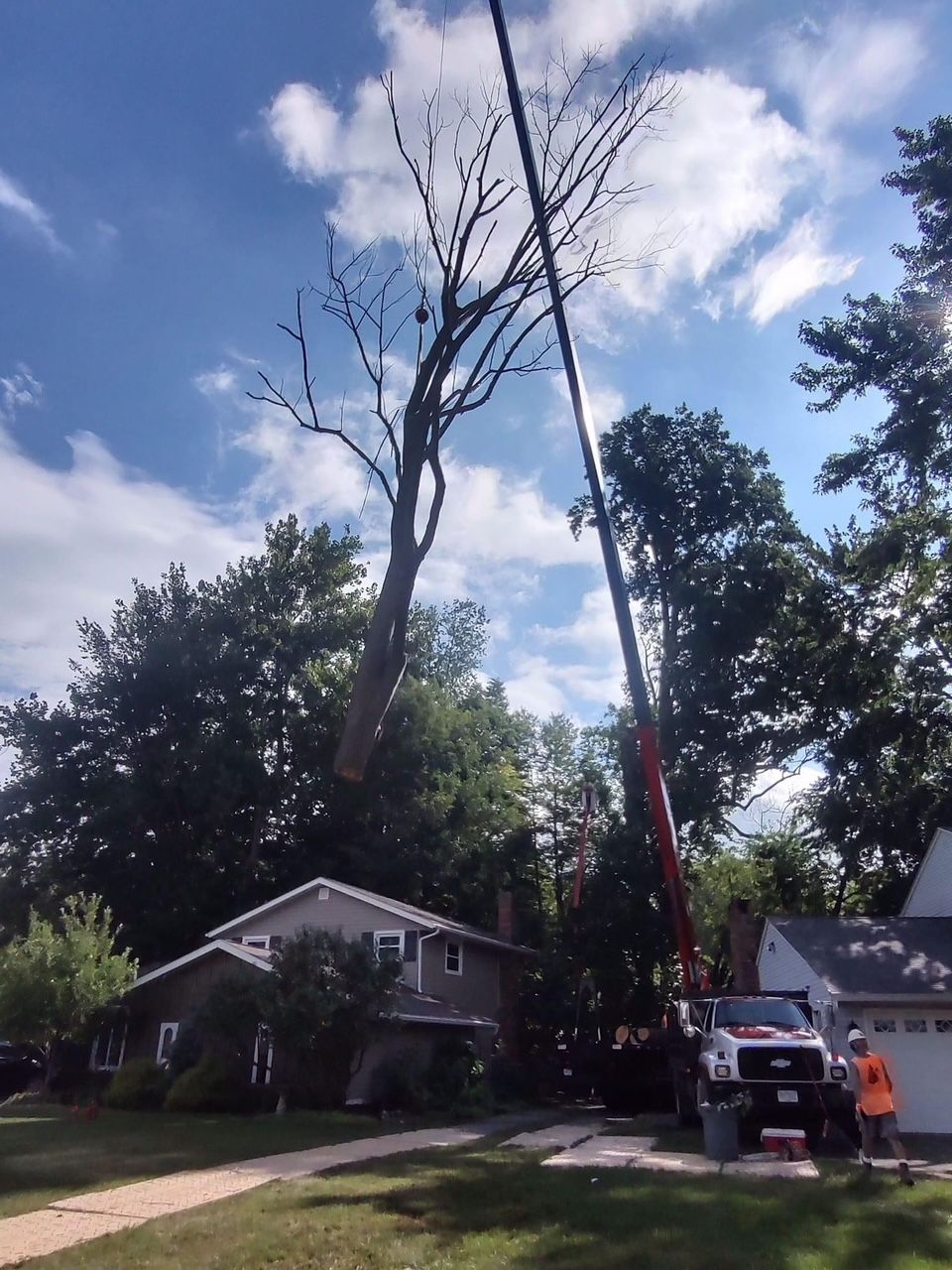 A large tree is being removed by a crane in front of a house