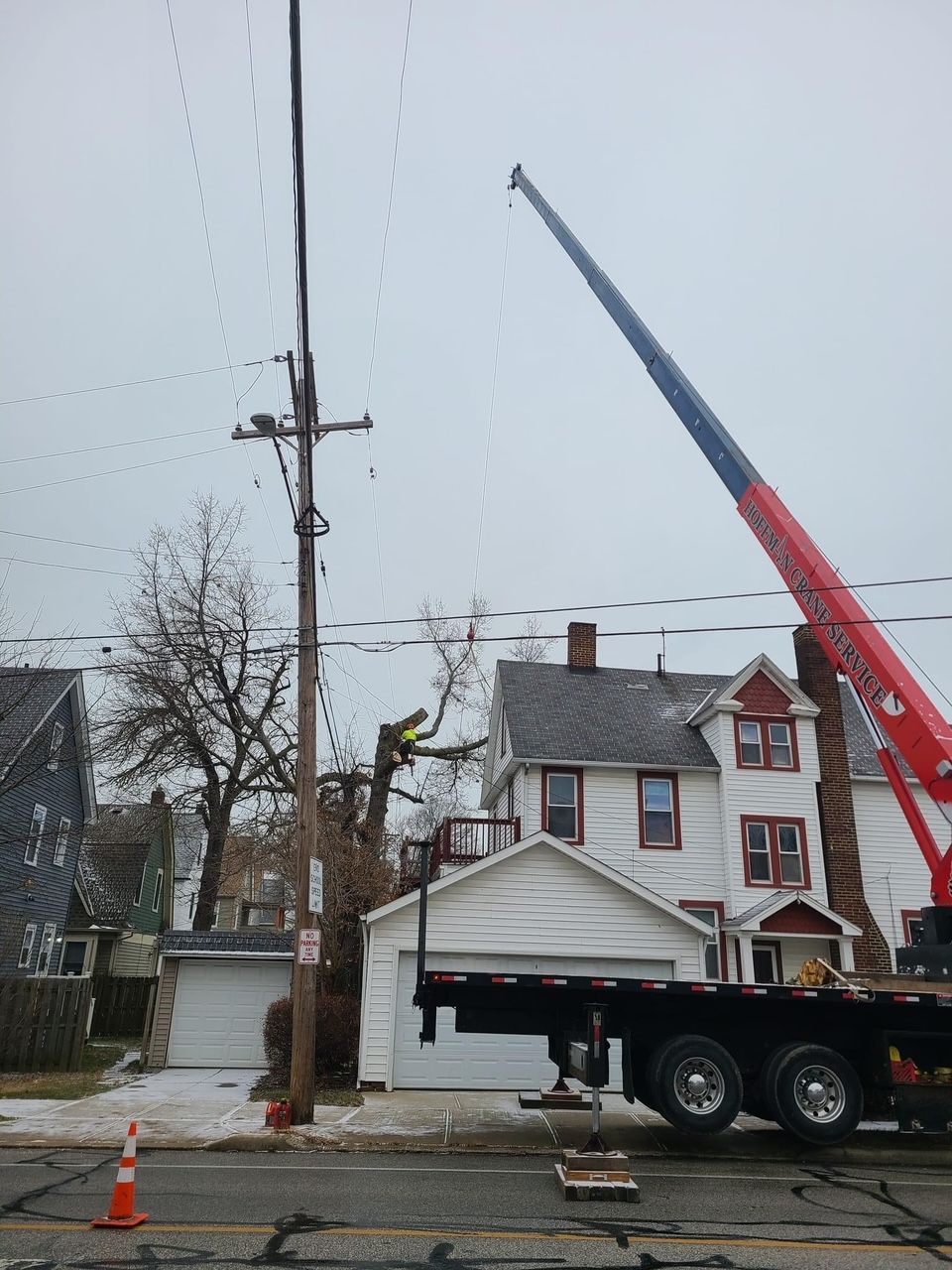 A large tree is being removed