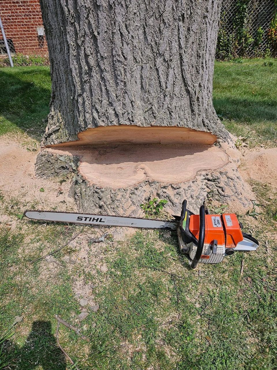 A chainsaw is sitting next to a tree