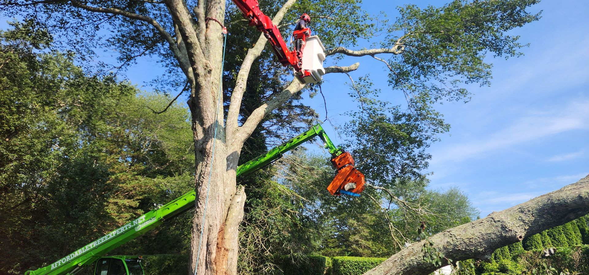 Mike Grigor up on a crane doing tree work
