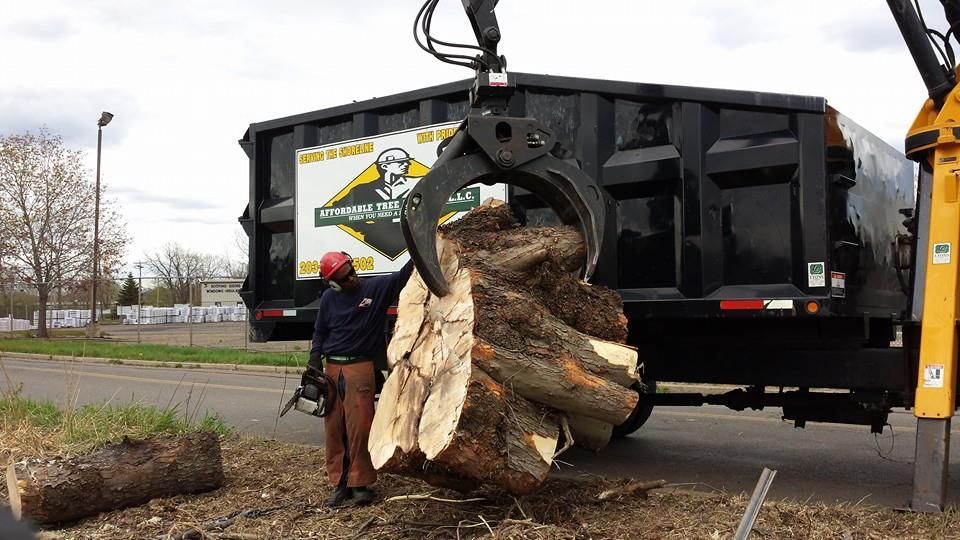 A man is holding a large log in front of a dumpster