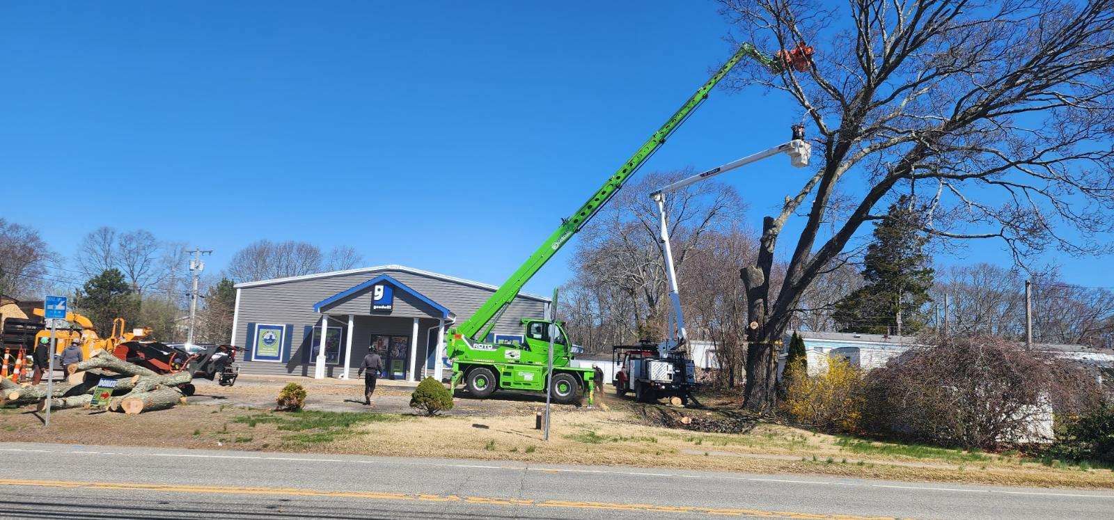 A green crane is cutting a tree in front of a building.