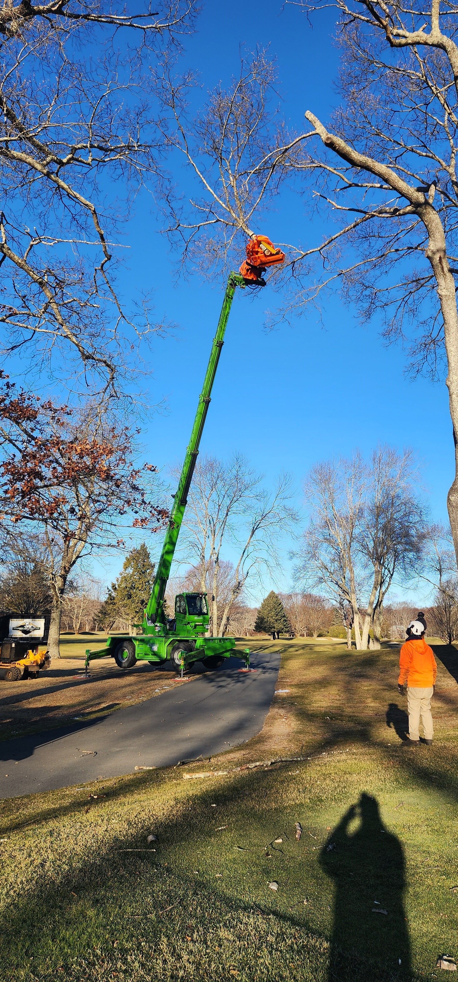 A man is standing next to a crane that is cutting a tree.