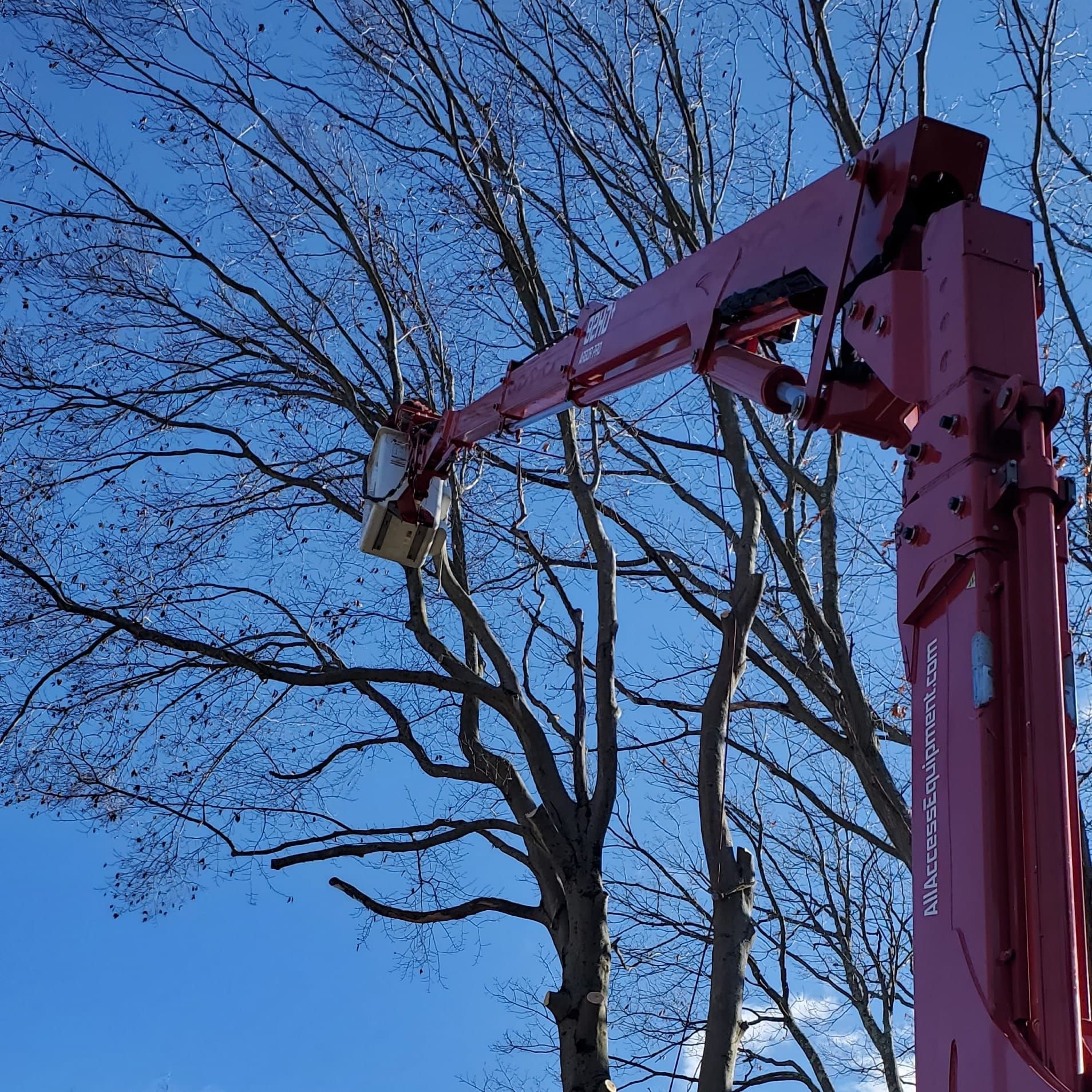 Storm Damage Madison, CT Affordable Tree Experts LLC