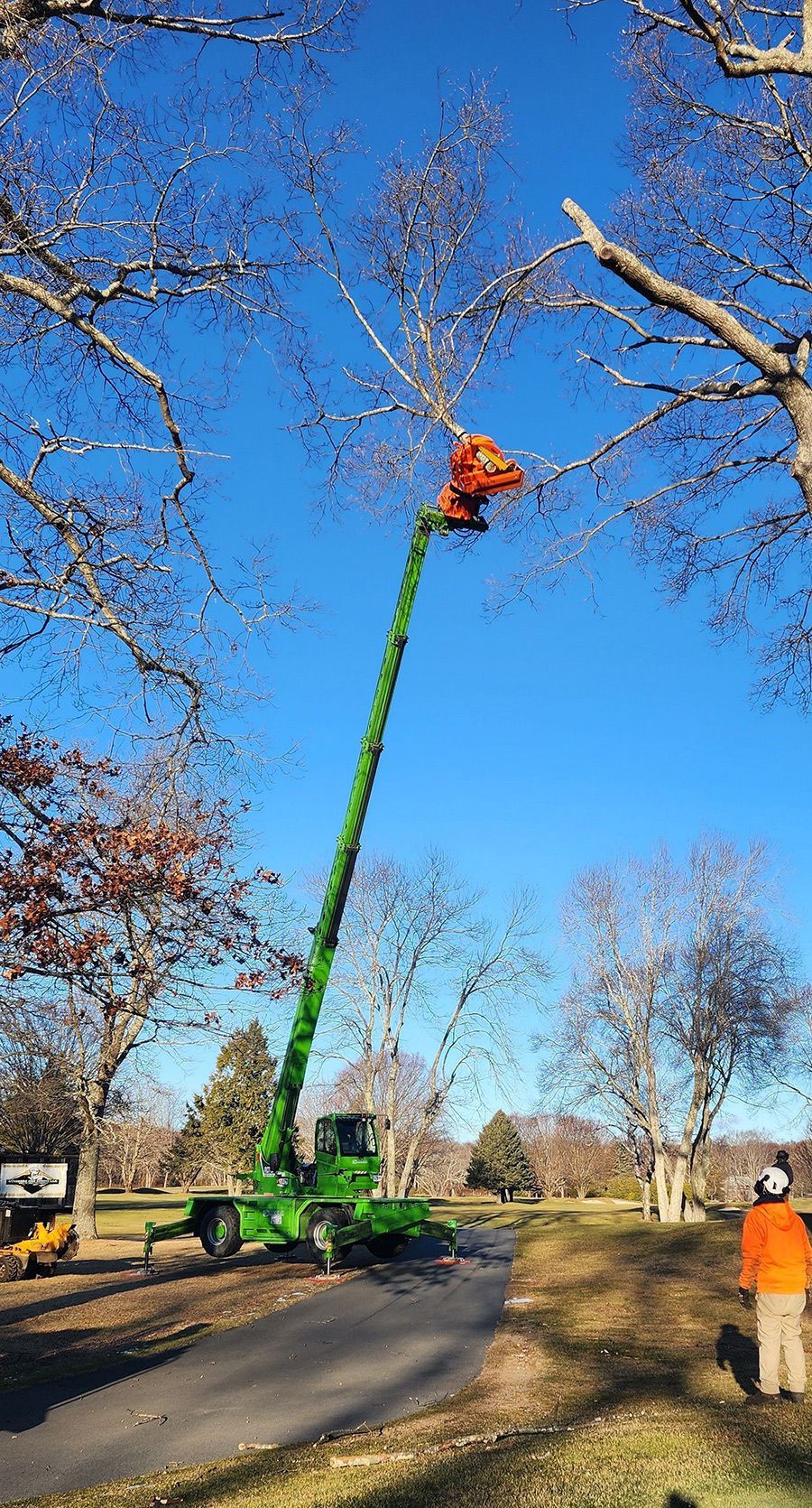 A man is cutting a tree with a crane in a park.