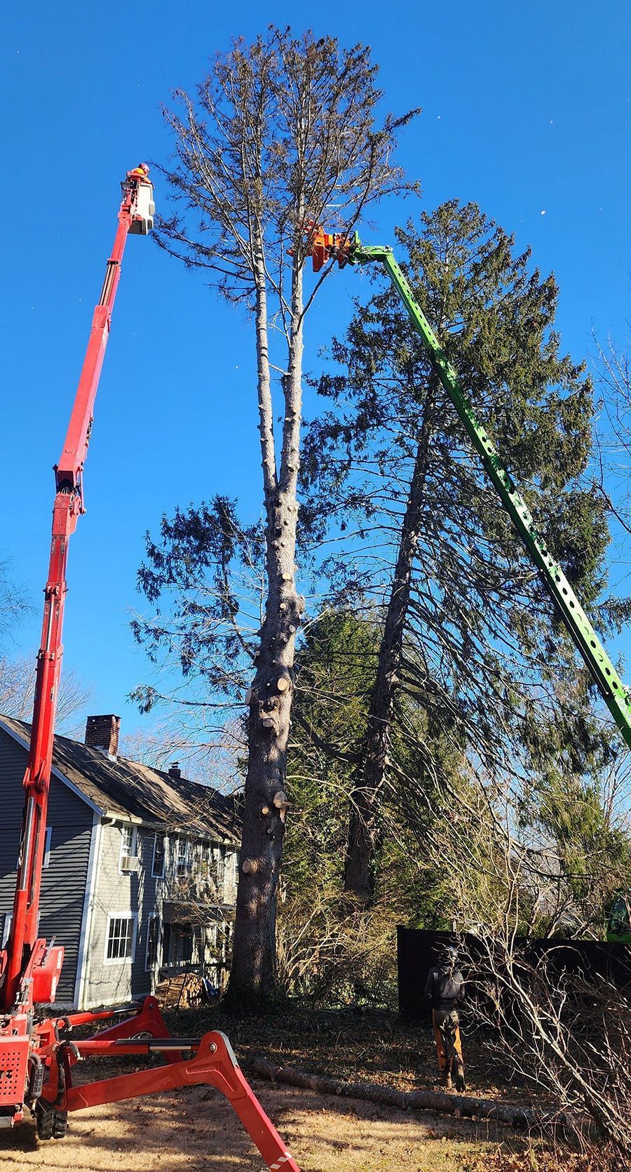 A man is cutting a tree with a crane.