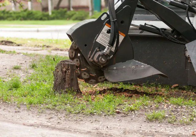Stump removal