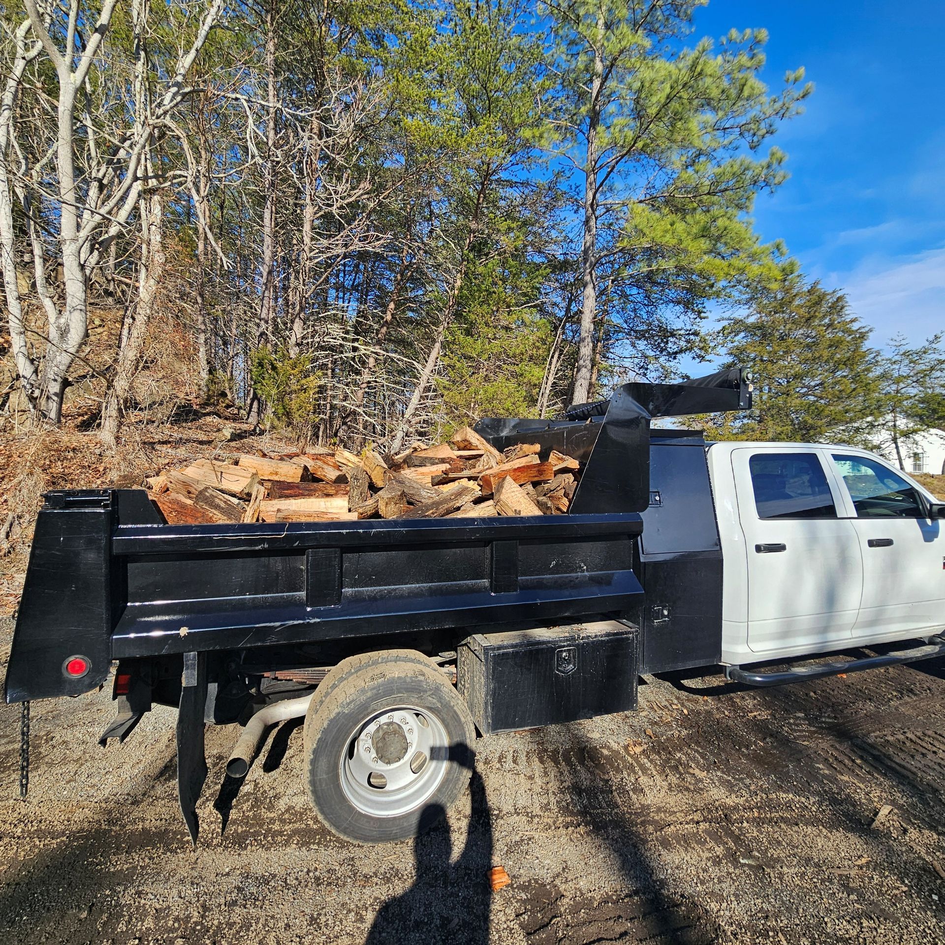 Truck bed filled with firewood, parked on a dirt road, trees in the background, blue sky.