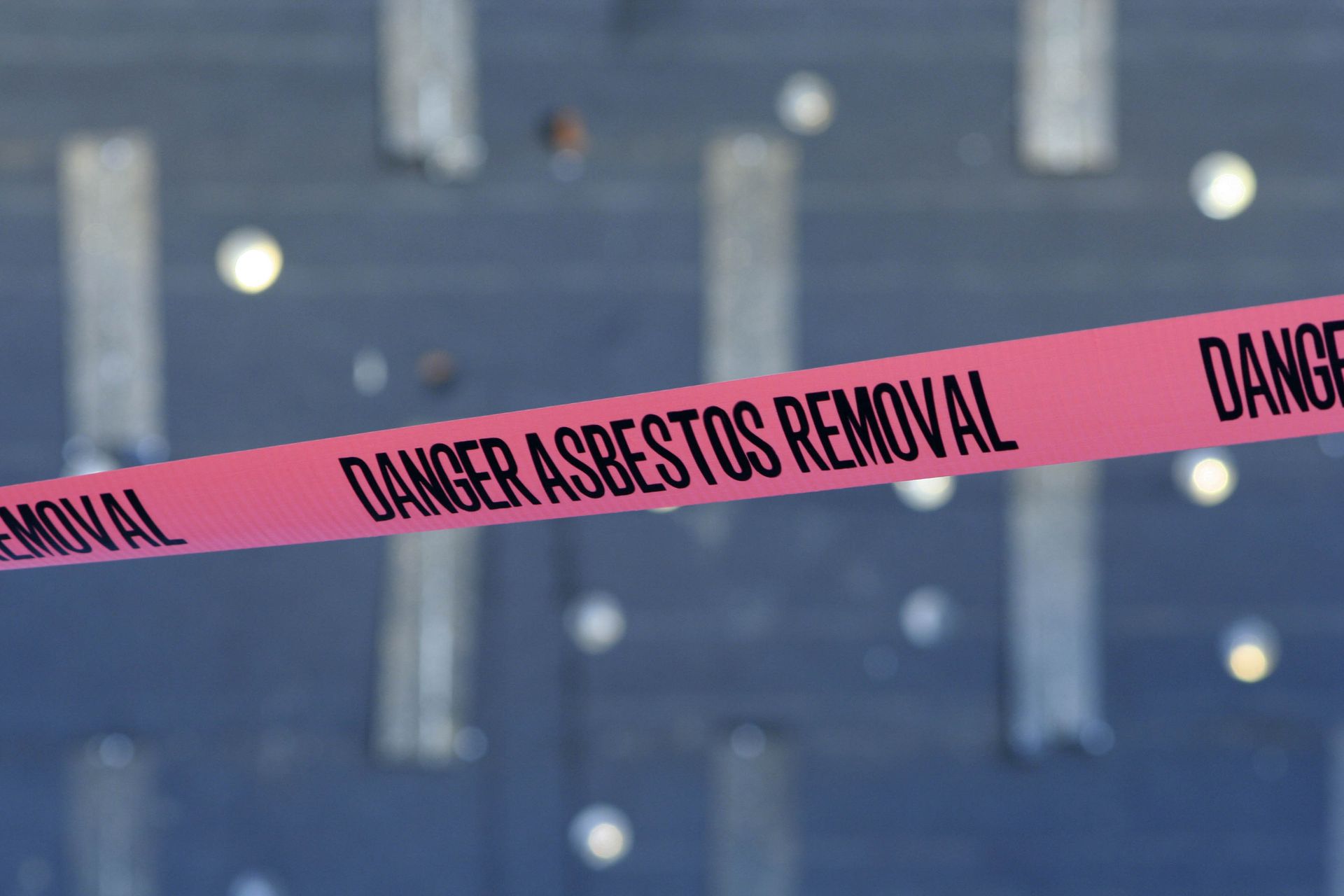 local asbestos abatement contractor