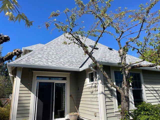 Suburban house with gray roof, beige siding, and a tree in the front yard under a blue sky