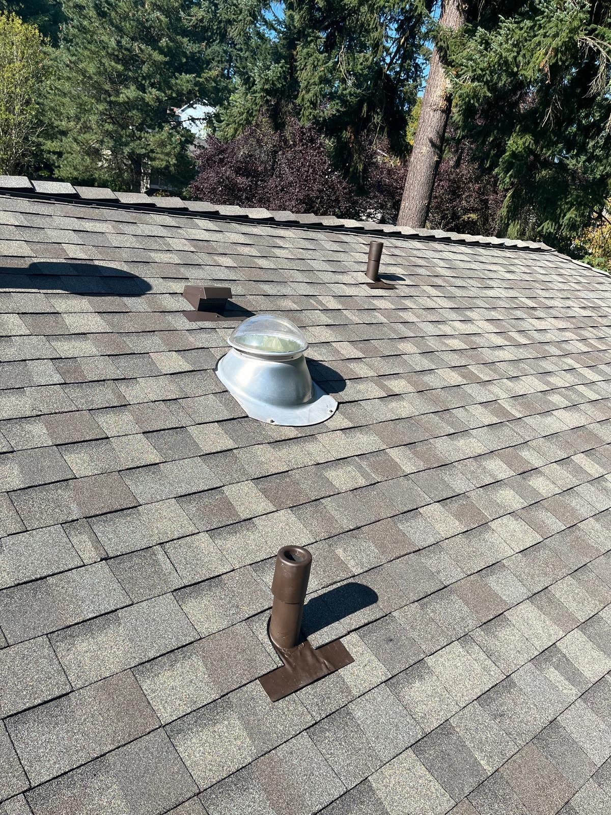Rooftop with gray shingles, a silver vent, and a brown pipe under trees in the background