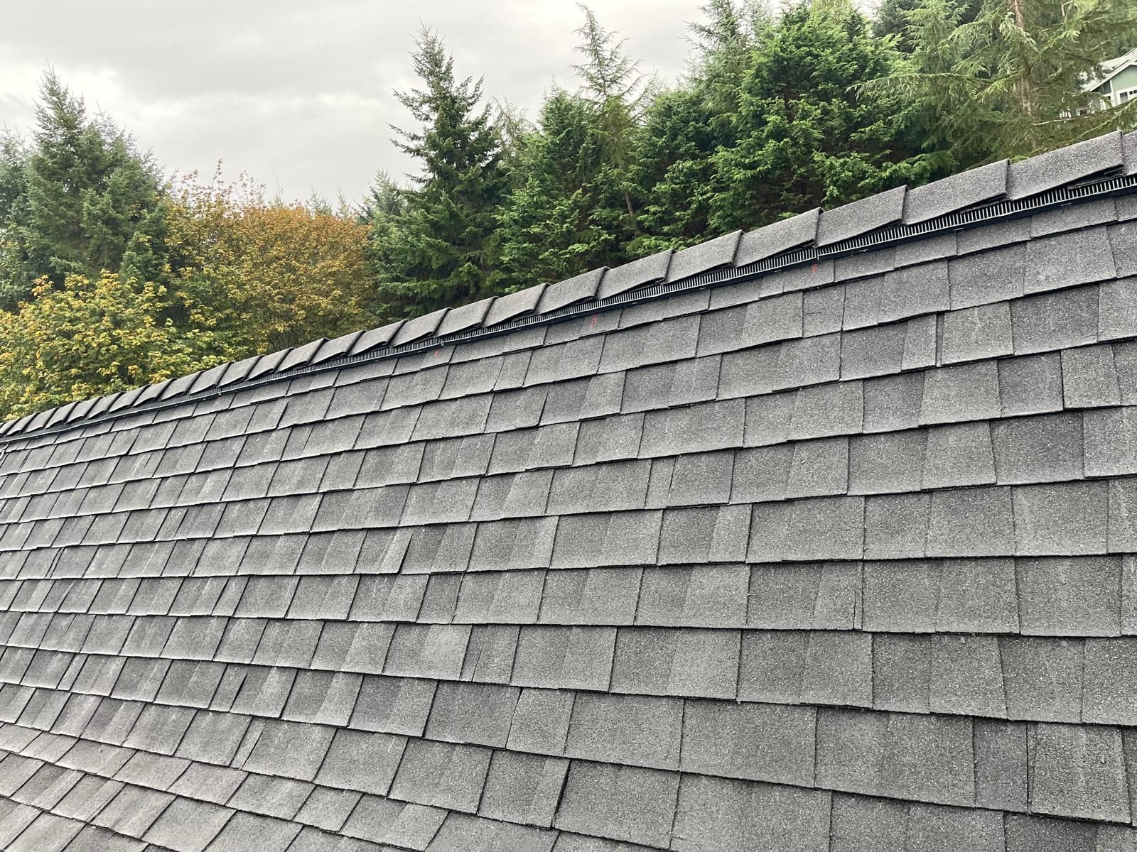 Slate shingle roof with weathered gray tiles beneath evergreen trees