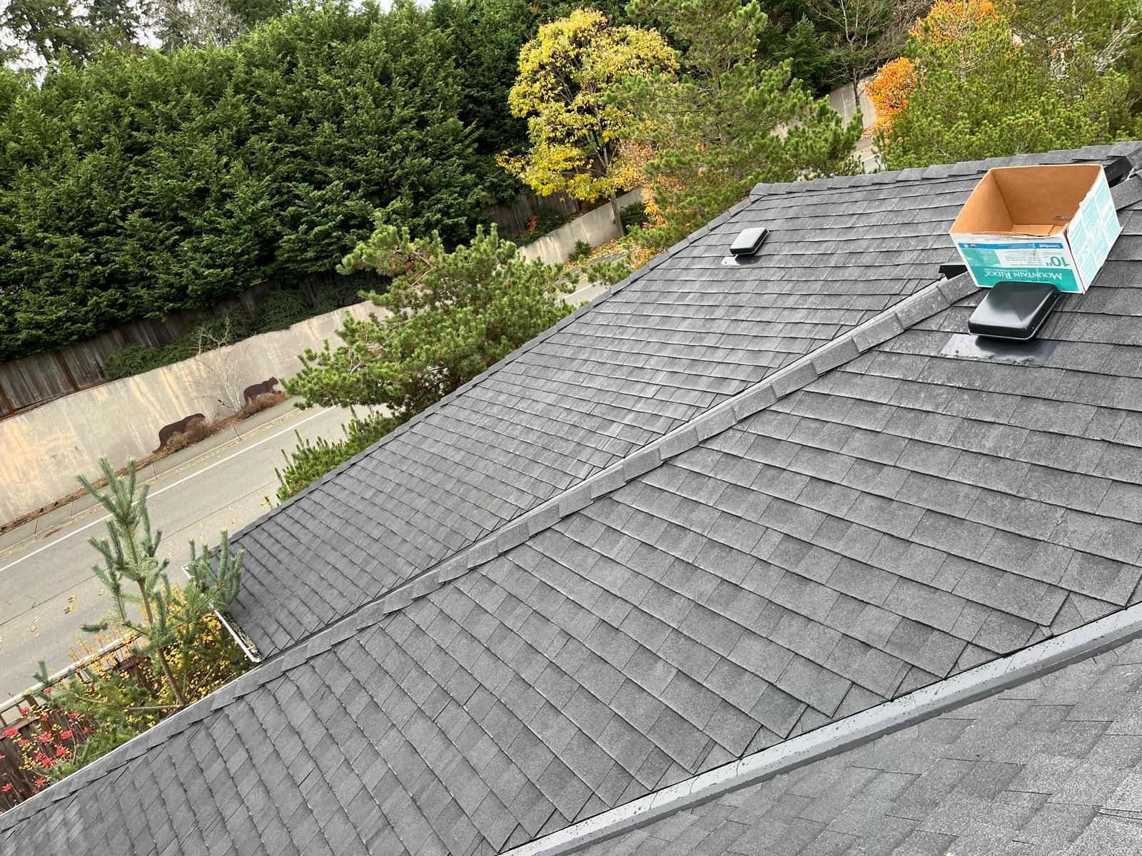 Gray shingled roof with gutter and skylight, overlooking a tree-lined street below