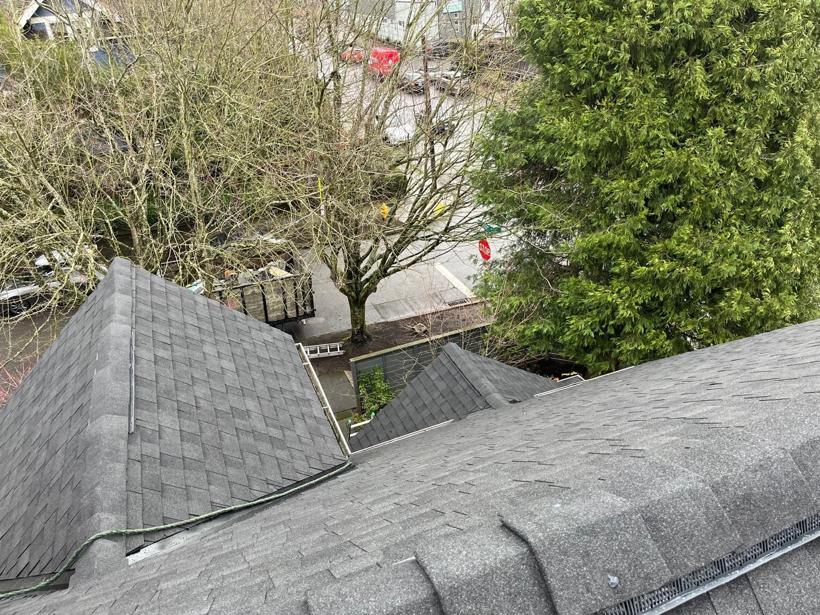 Rooftops overlooking leafy trees and a white building in the background