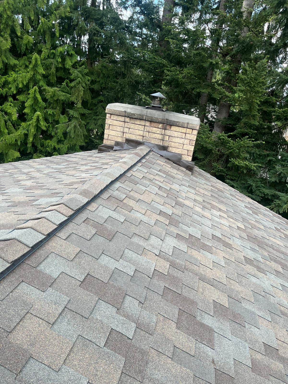 Shingled roof with a stone chimney, backed by tall green trees.
