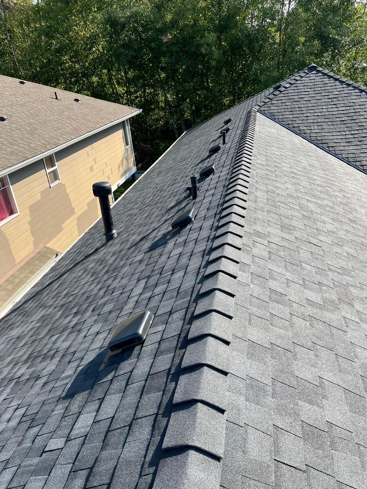 Roof shingles and ridge vents on a sloped house roof beside another home and trees.