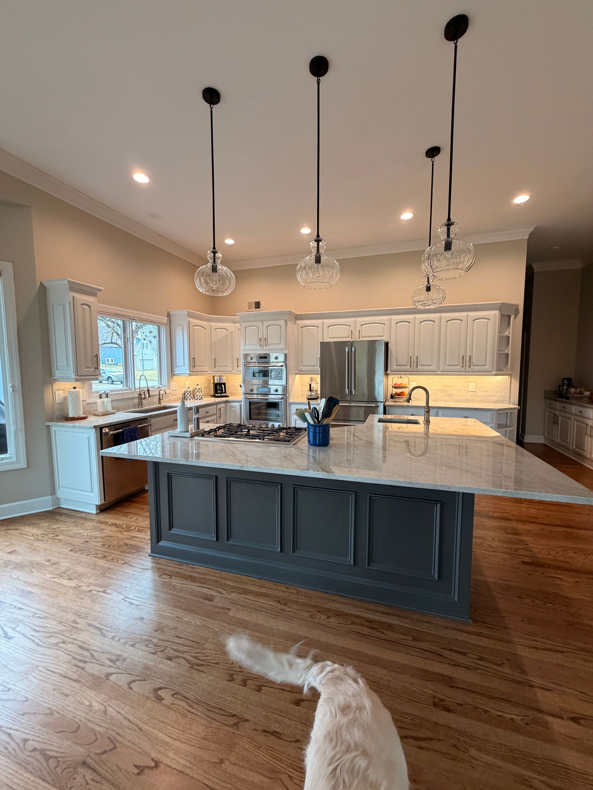 A white dog stands on wood flooring in front of a kitchen island with a white countertop and charcoal-colored cabinets.