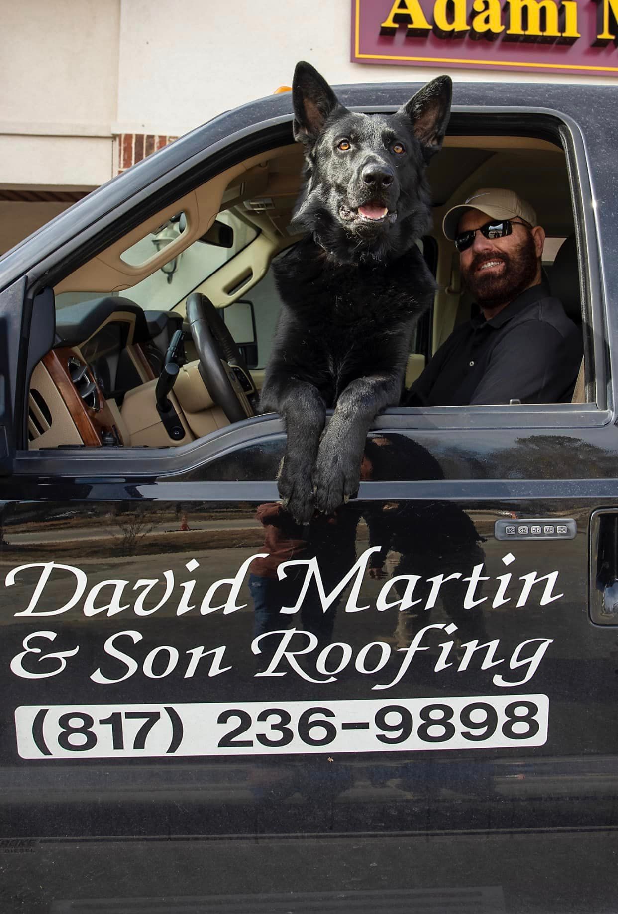 man and dog in a van