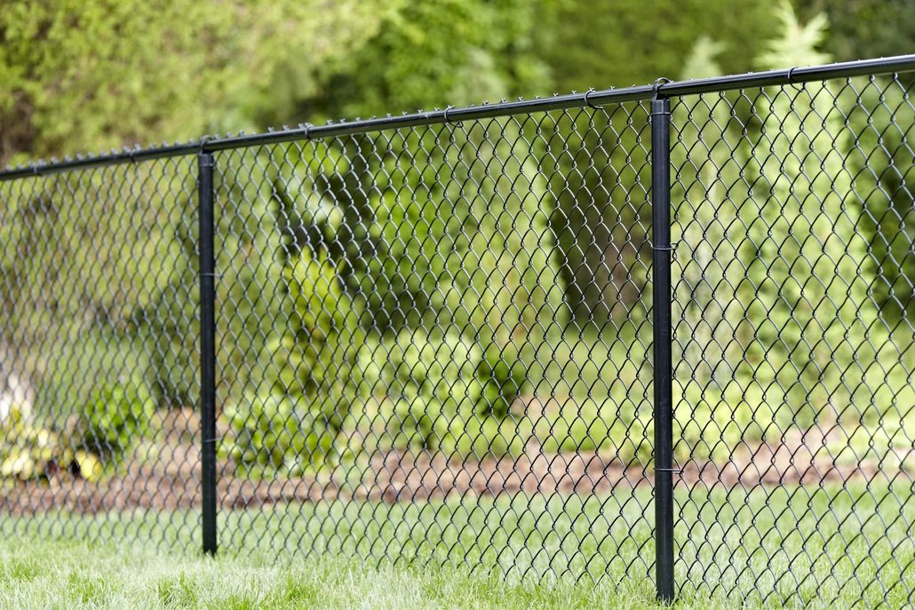 Black chain-link fence in front of trees and a house with a green lawn.