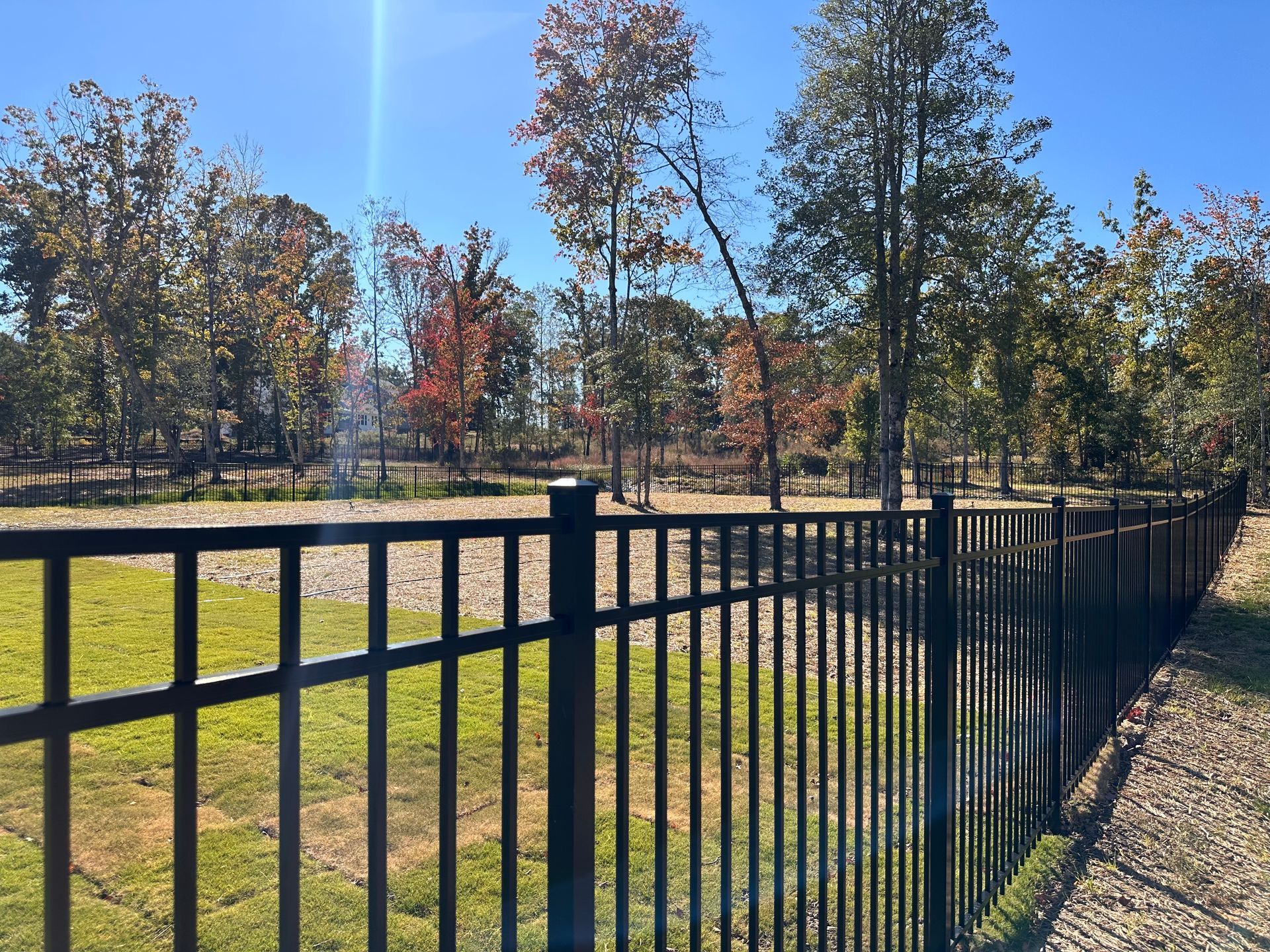 Black metal fence surrounds a grassy yard, with trees showing fall foliage in the background under a bright blue sky.