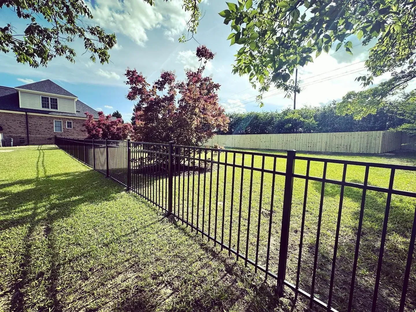 Black metal fence in a grassy backyard, with a brick house and tree in the background. Sunny day.