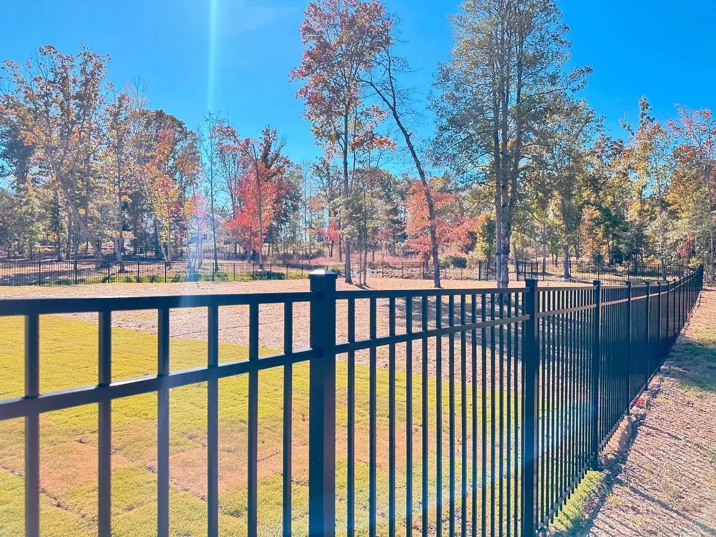 Black metal fence with trees and grass under a blue sky. Autumn foliage in background.