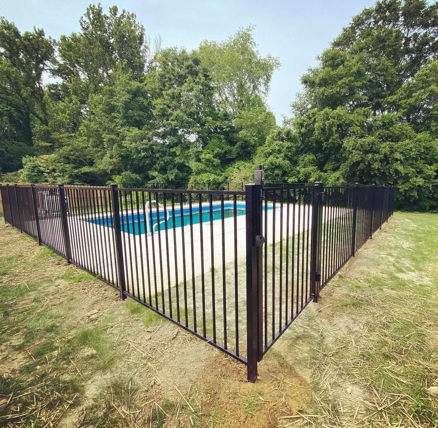 Black metal fence encloses a blue swimming pool in a grassy yard, surrounded by trees.