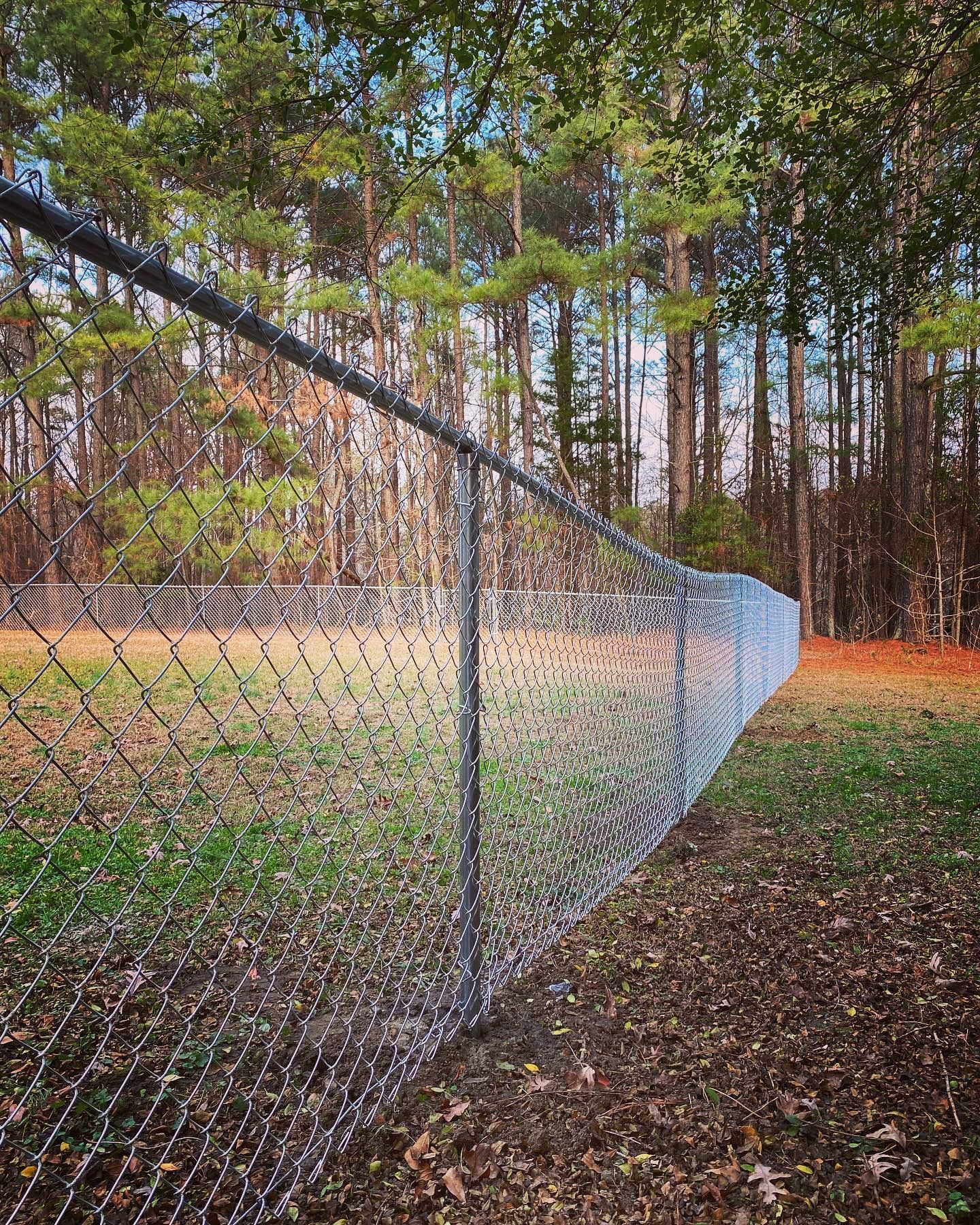 Chain-link fence in a grassy area, with trees in the background.