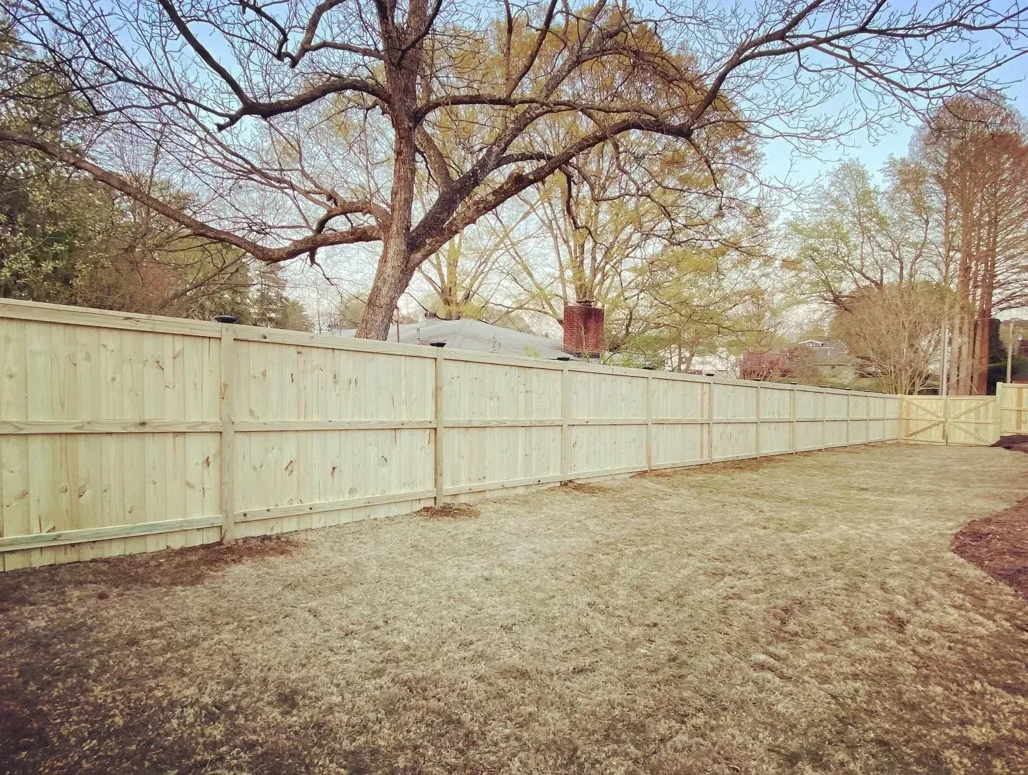 Wooden fence along a grassy yard, large tree in background.