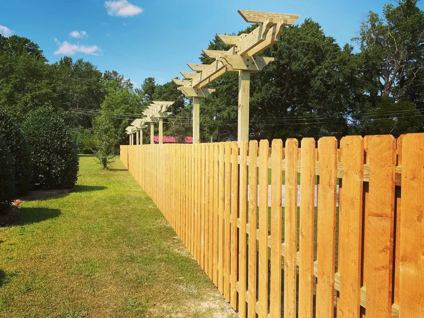 Wooden fence with overhead trellis, set in a yard with green grass and trees under a blue sky.