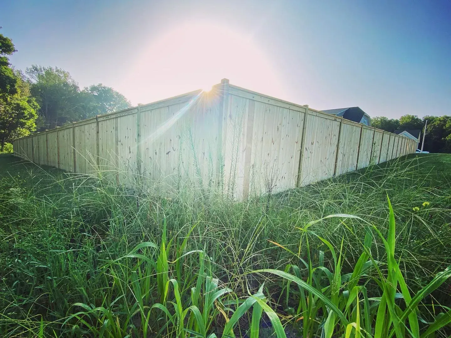 Sunlight behind a wooden fence corner, casting a glow over tall grass.